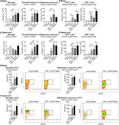 Peripheral Inflammation Regulates CNS Immune Surveillance Through the Recruitment of Inflammatory Monocytes Upon Systemic α-Synuclein Administration